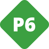 p6-icon